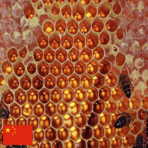 мед оборудование из Китая