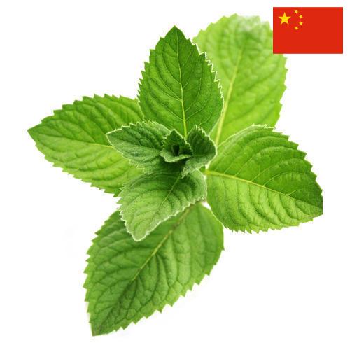 Ментол из Китая