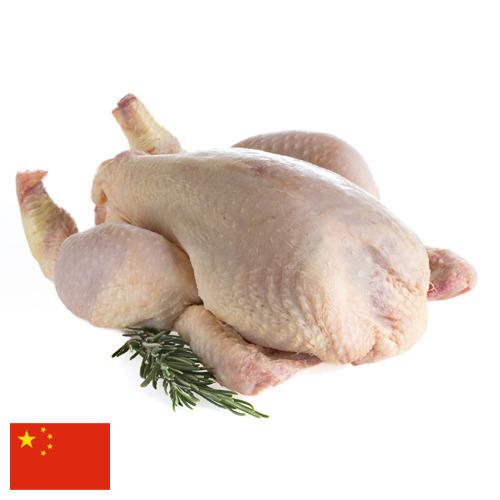 мясо птицы тушка из Китая