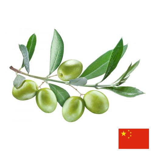 Оливки из Китая