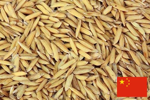 рис сырец из Китая