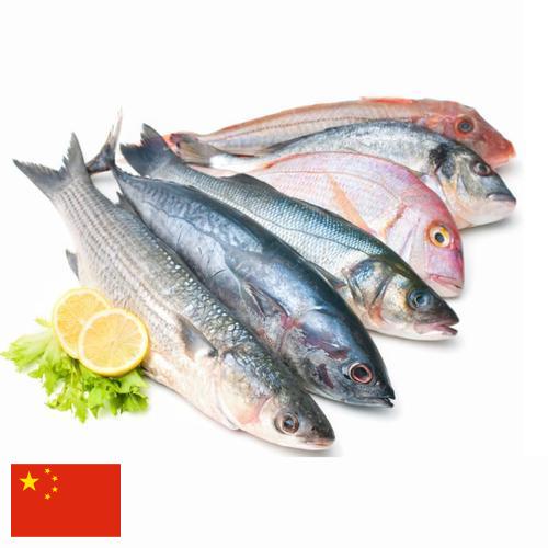 рыба и морепродукты из Китая