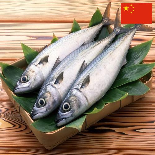 рыба свежая из Китая