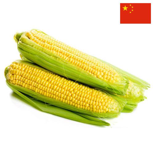 Сахарная кукуруза из Китая
