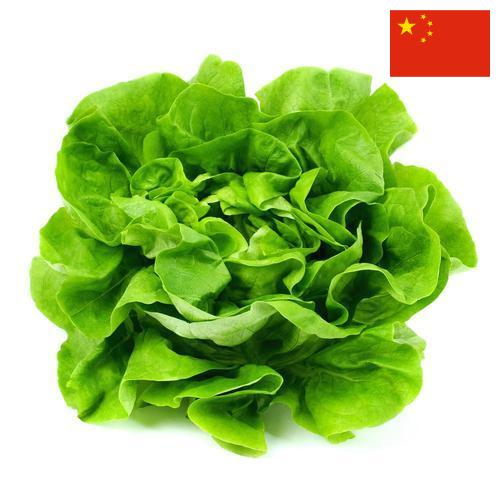 салат из Китая