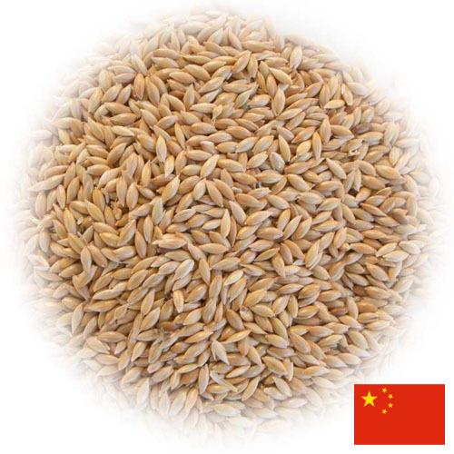 семена трав из Китая