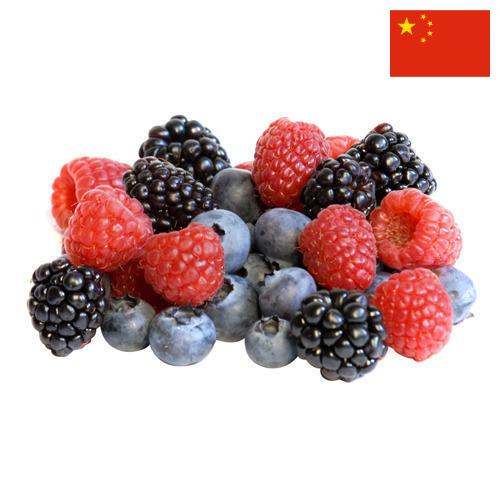 сублимированные ягоды из Китая