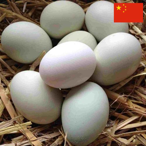 субпродукты птицы из Китая