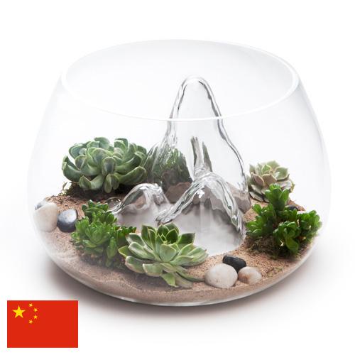 Террариумы из Китая