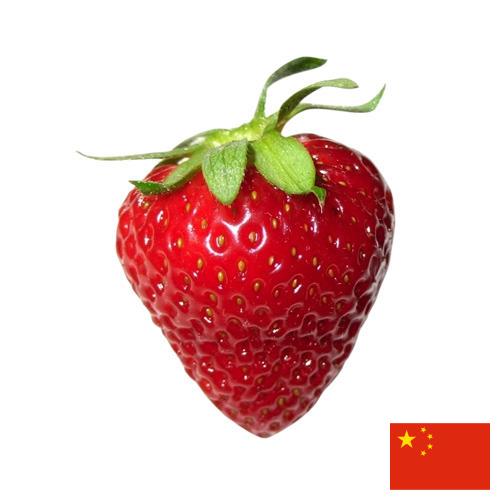 Земляника из Китая