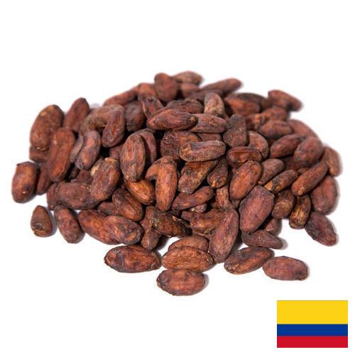 какао-бобы из Колумбии