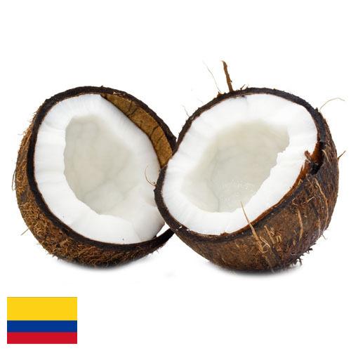 Кокосы из Колумбии