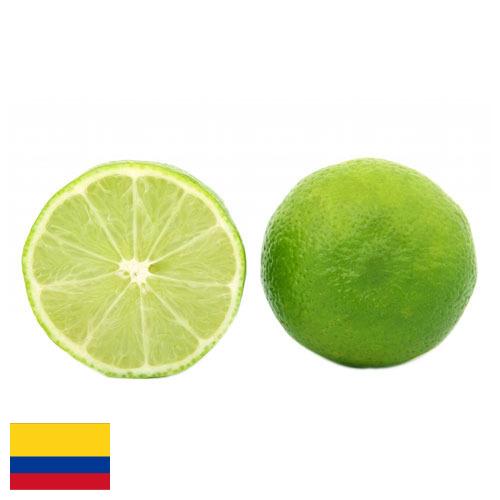лайм из Колумбии