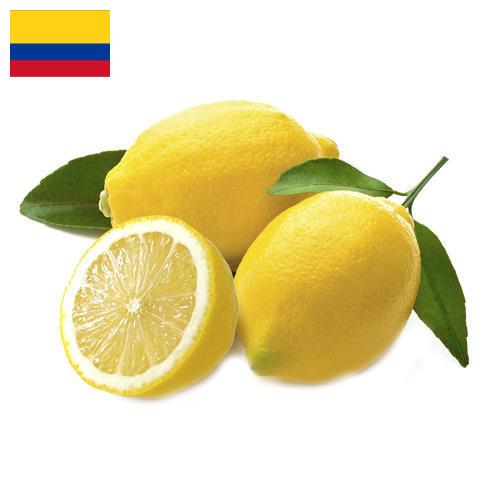 лимон свежий из Колумбии