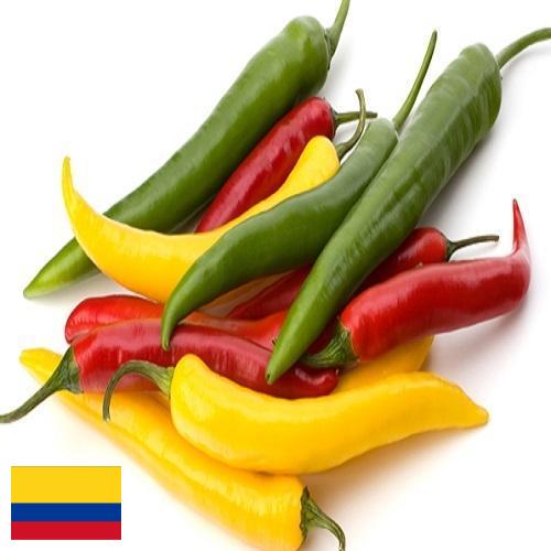 Перец чили из Колумбии