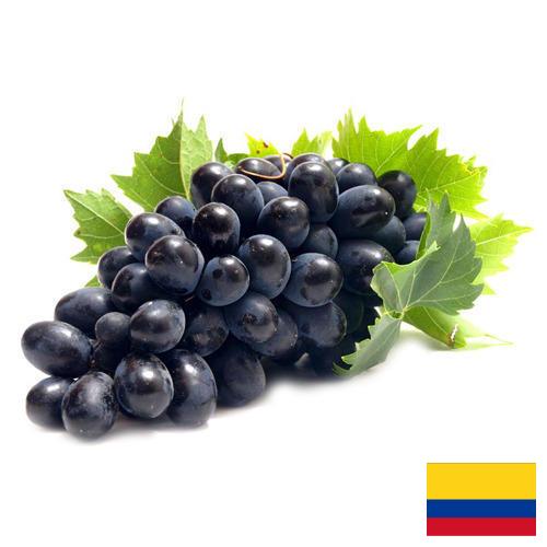 Виноград из Колумбии