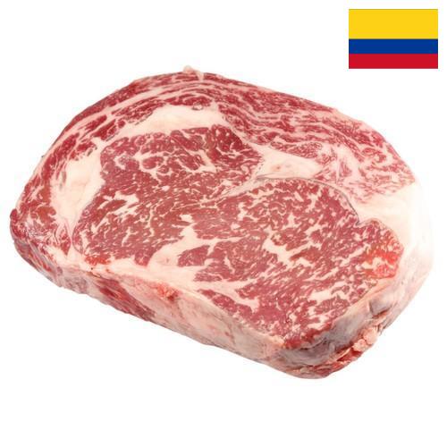 замороженного мясо из Колумбии