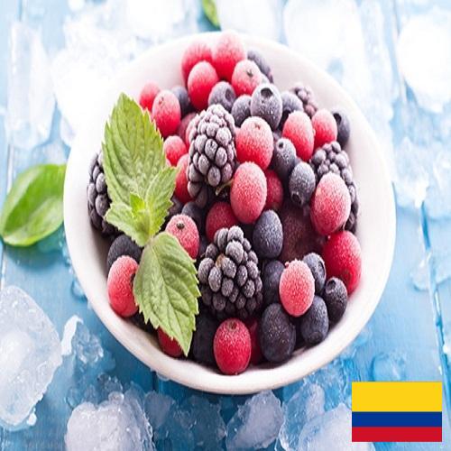 Замороженные фрукты из Колумбии