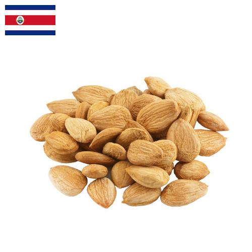 Абрикосовые косточки из Коста-Рики