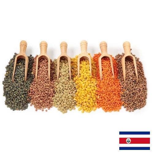 Бобовые культуры из Коста-Рики