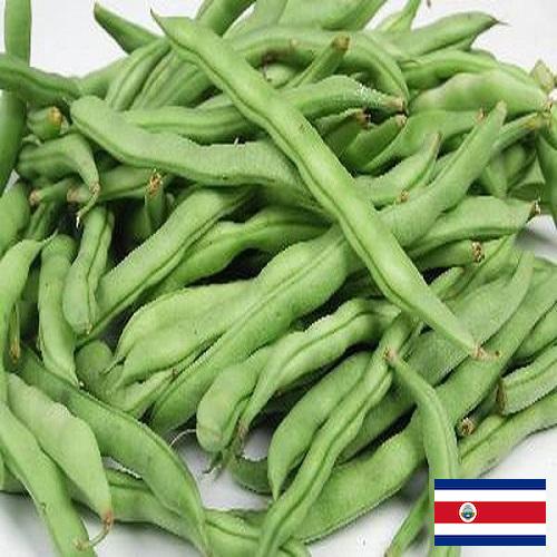 Бобы из Коста-Рики