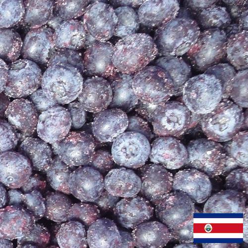 черника замороженная из Коста-Рики