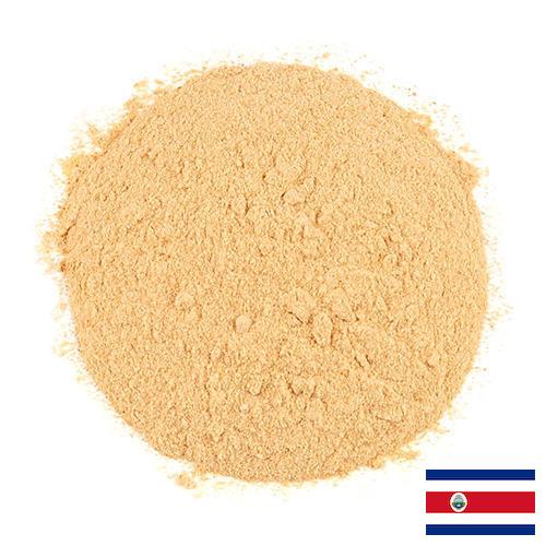 чеснок порошок из Коста-Рики