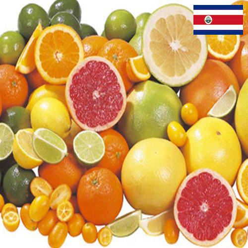 Цитрусовые фрукты из Коста-Рики