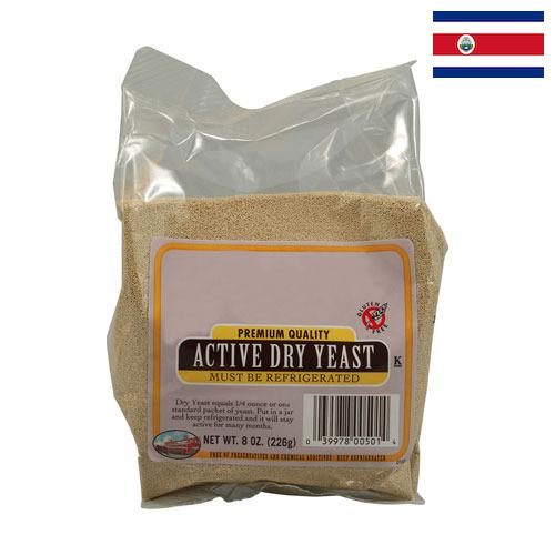 дрожжи сухие из Коста-Рики