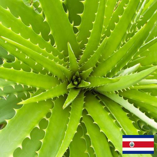 экстракты растений из Коста-Рики