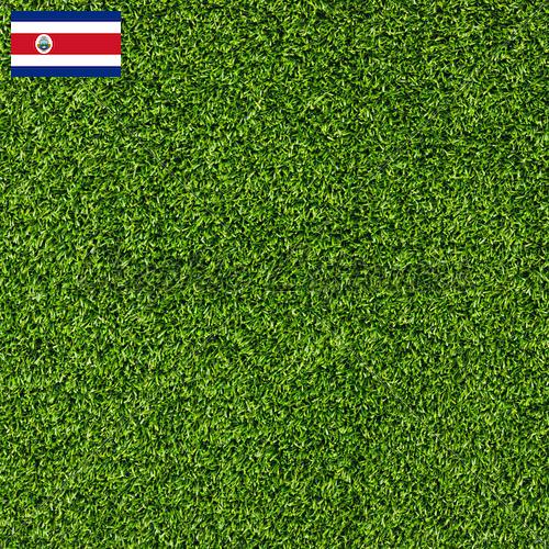 газон искусственный из Коста-Рики