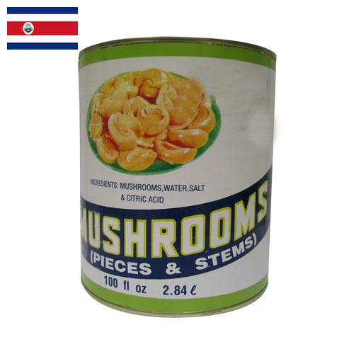 Грибы консервированные из Коста-Рики