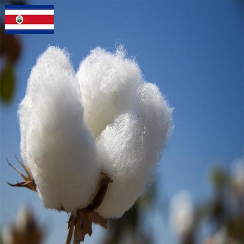 Хлопок из Коста-Рики