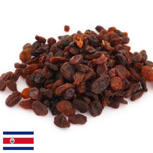 Изюм из Коста-Рики