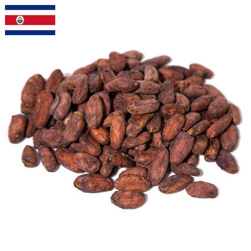 какао бобы из Коста-Рики