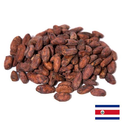 какао-бобы из Коста-Рики