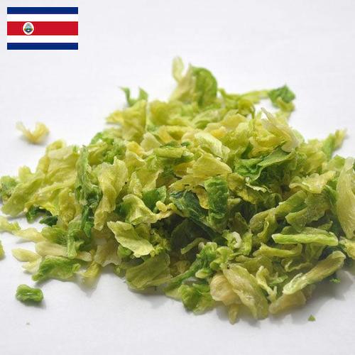 капуста сушеная из Коста-Рики