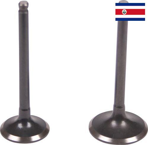 Клапан выхлопной из Коста-Рики