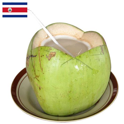 кокосовая вода из Коста-Рики