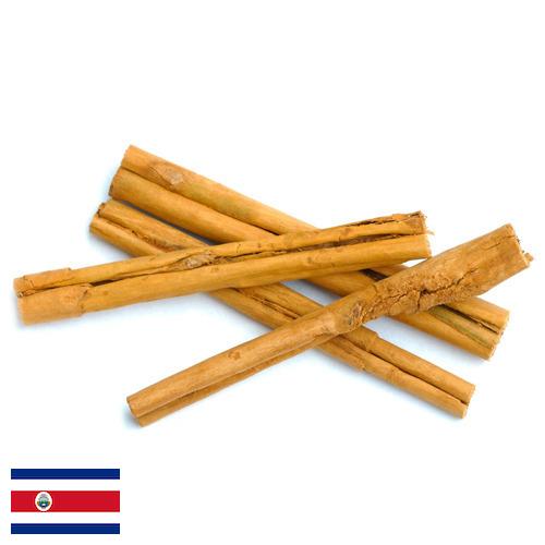 Корица из Коста-Рики