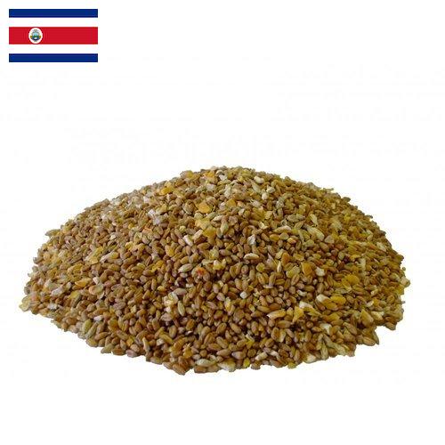 Корма для птицы из Коста-Рики