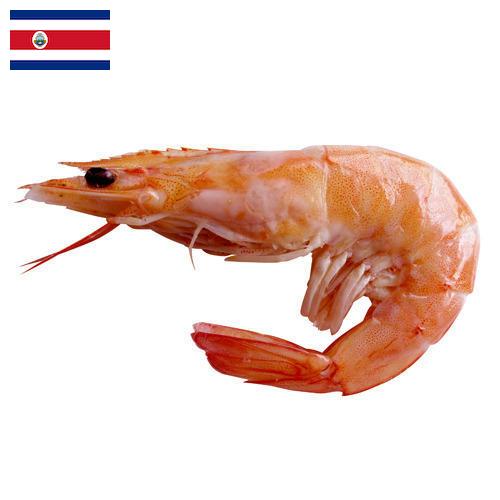 Креветки из Коста-Рики