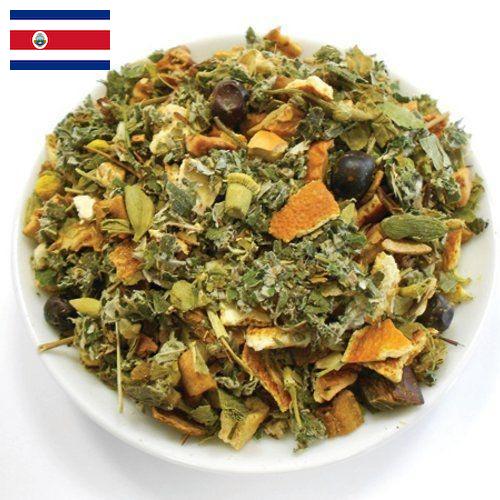 Лекарственные травы из Коста-Рики