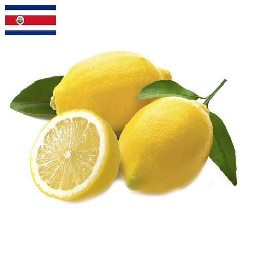 лимон свежий из Коста-Рики