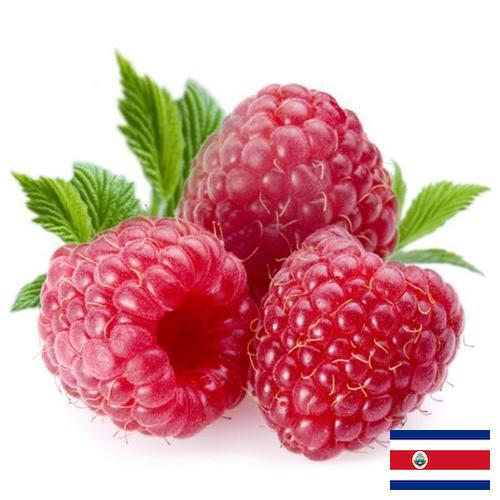 Малина из Коста-Рики