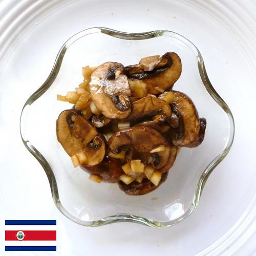 Маринованные грибы из Коста-Рики