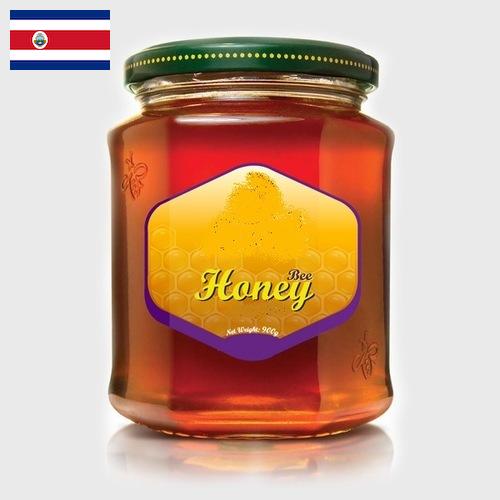 мед натуральный из Коста-Рики