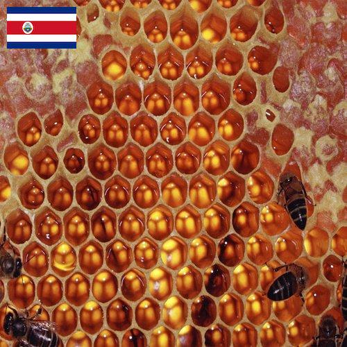 мед оборудование из Коста-Рики