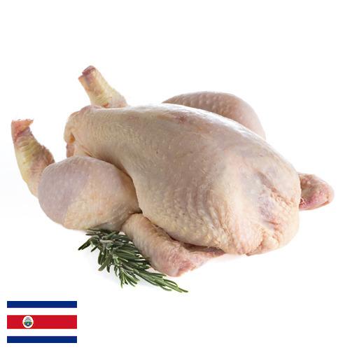 мясо птицы тушка из Коста-Рики