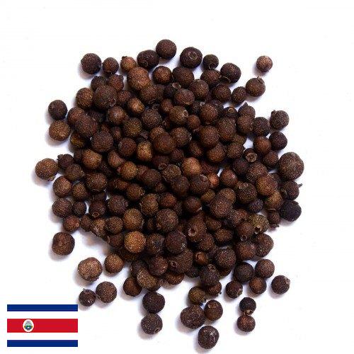 Перец душистый из Коста-Рики